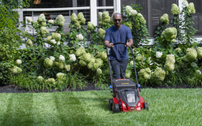 What is the best lawnmower I should use for my farmhouse?